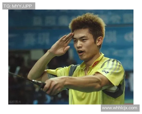 林丹精神铸就羽毛球传奇背后的坚持与奋斗故事