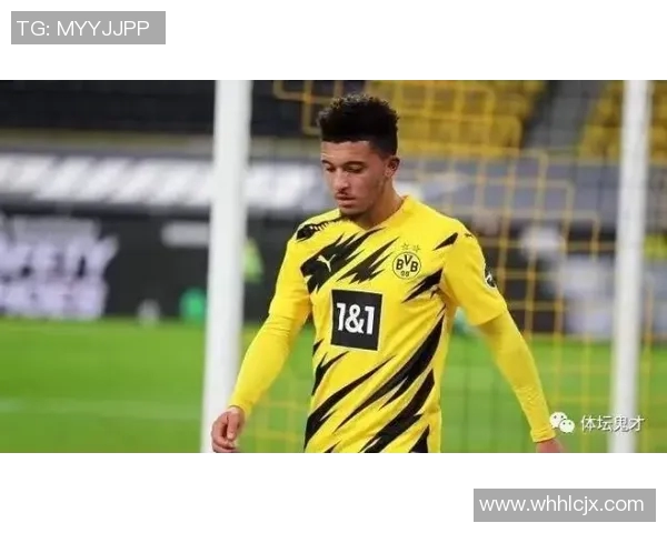 桑乔的崛起与挑战：从天才少年到足球舞台上的璀璨明星之路